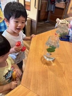 白石園　今日のハッパちゃんとお友達🐟