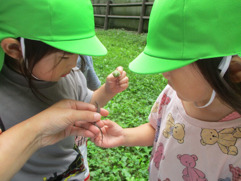 藤野園　くるみ組　緑のどんぐり発見！！