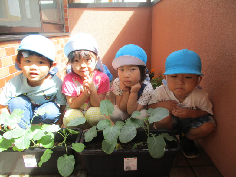 大きくなったね🌱