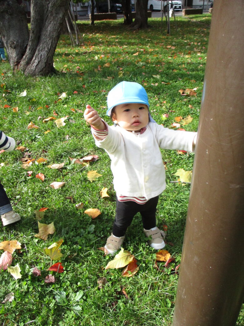 落ち葉が沢山だね🍂