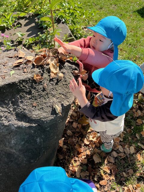 白石園　🌰くり組＆どんぐり組🌰やなぎ公園に行ったよ