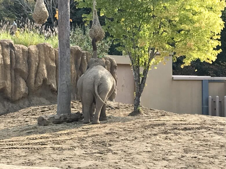 宮の森　動物園遠足　くるみ組