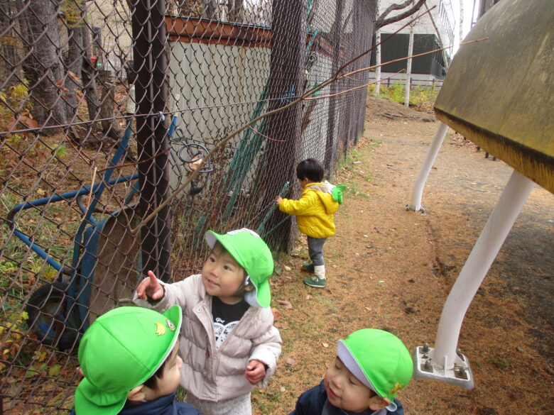 藤野園　１１月１３日　くり組　グラウンドで暴れん坊♪