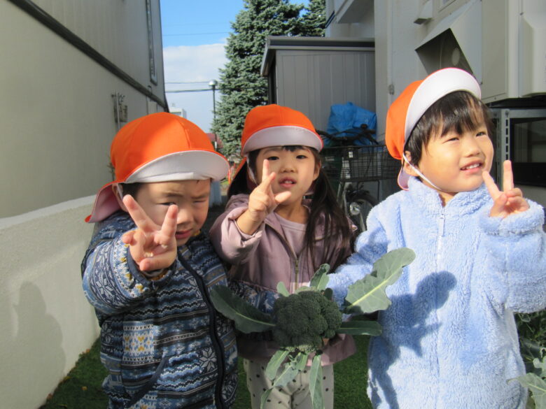 屯田園　🥦ブロッコリー情報🥦