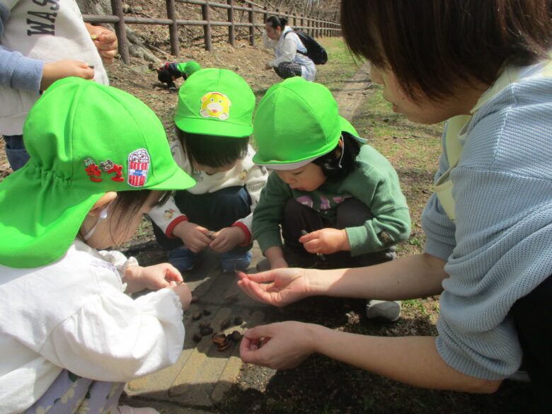 新しいもの発見！