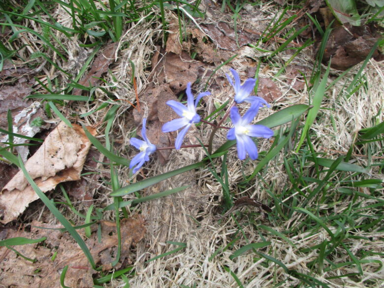 藤野園　木の実見つけたよ