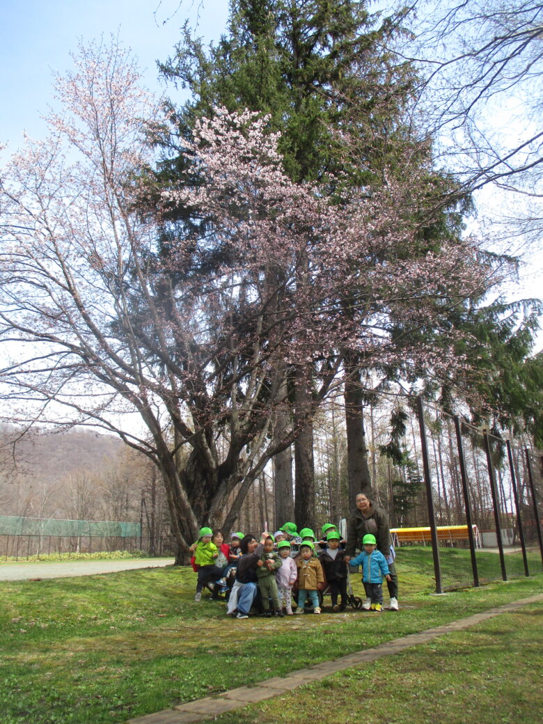 藤野園　桜見つけたよ♪