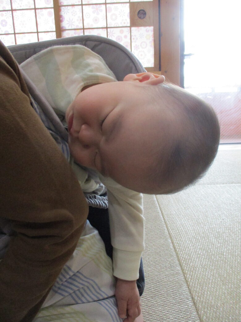 白石園　どんぐり組　新しいお友達🌸