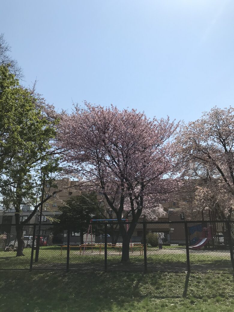 白石園　くり組公園で遊んだよ★