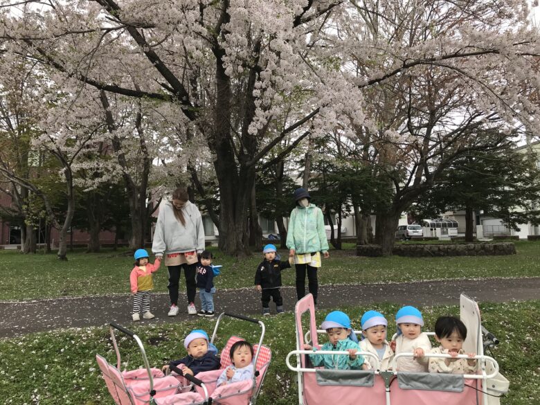 白石園　どんぐり組＆くり組　お散歩☀️