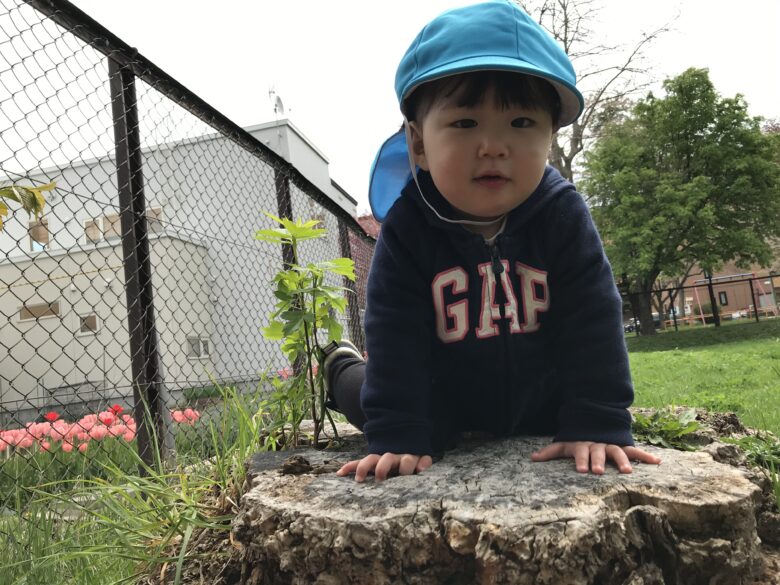 白石園　くり組