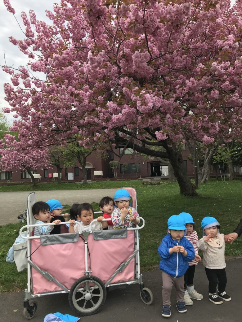 白石園 くり組