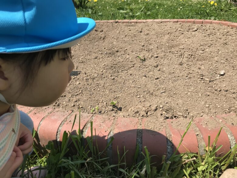 白石園　くり組