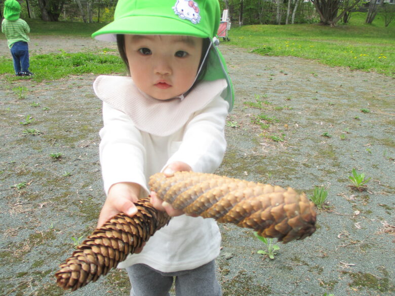 藤野園　くり組、くるみ組　自然物でカレーライス作り