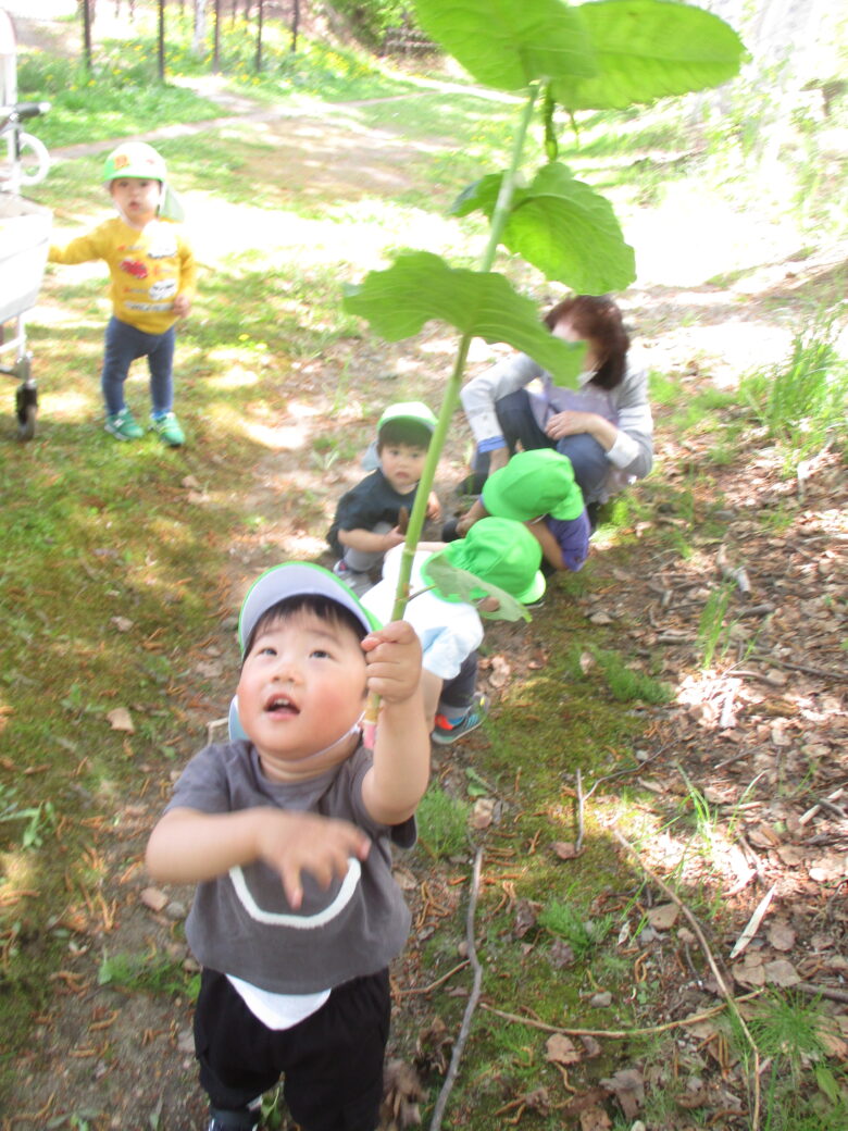 藤野園　くり組、くるみ組　トトロ♪
