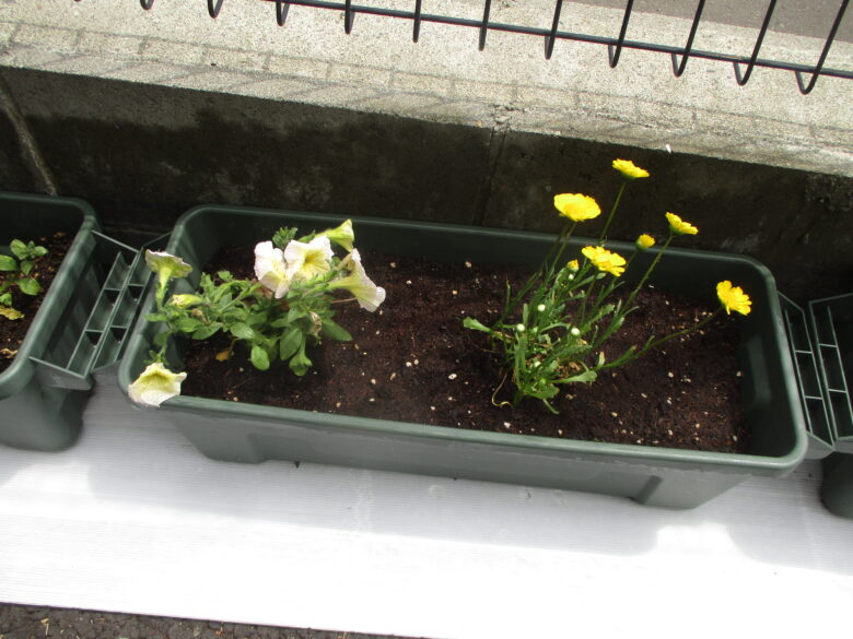 藤野園　お花綺麗だね♪