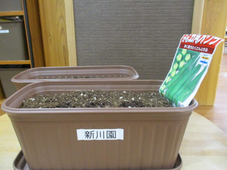 新川園 木育活動