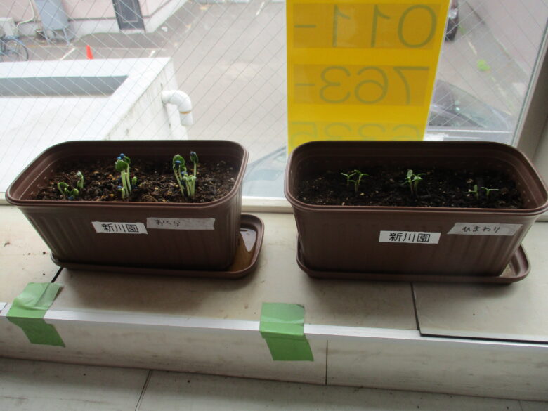 新川園　木育活動