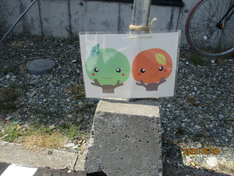 白石園　駐車場🚗