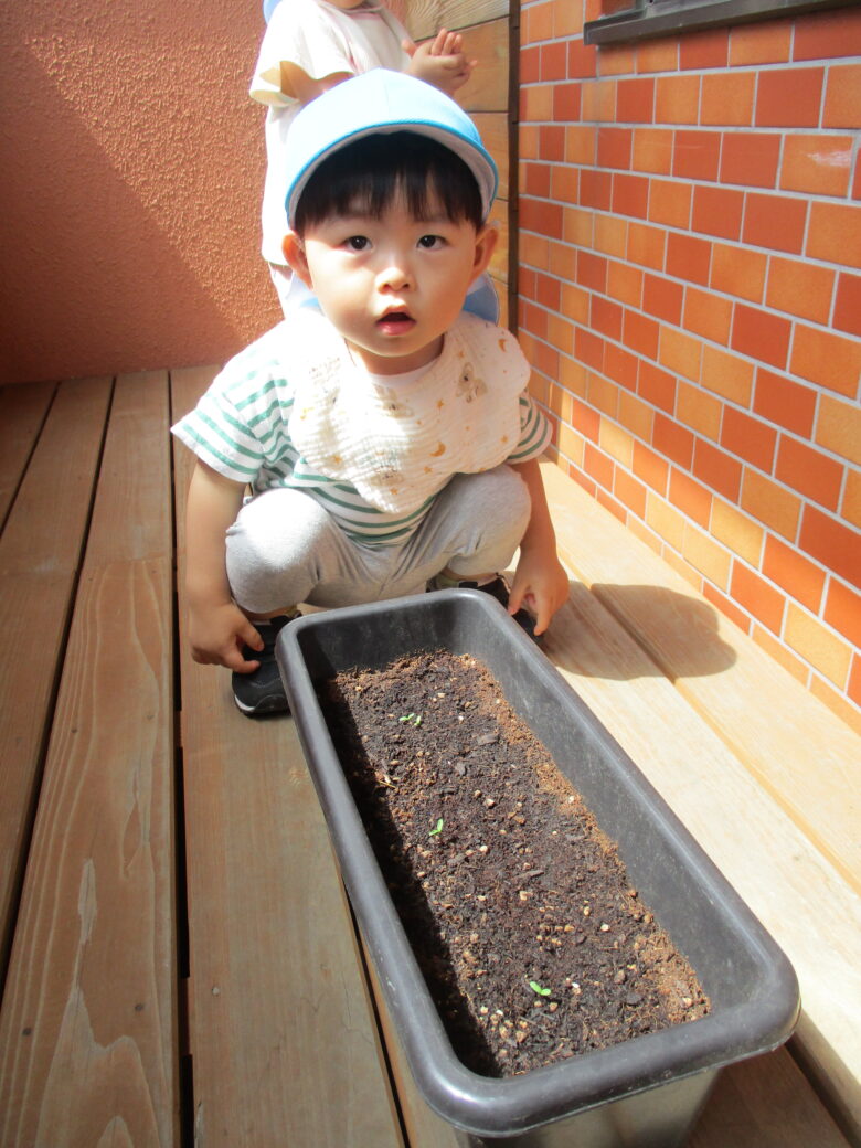 白石園　お花にお水をあげるよ🌟