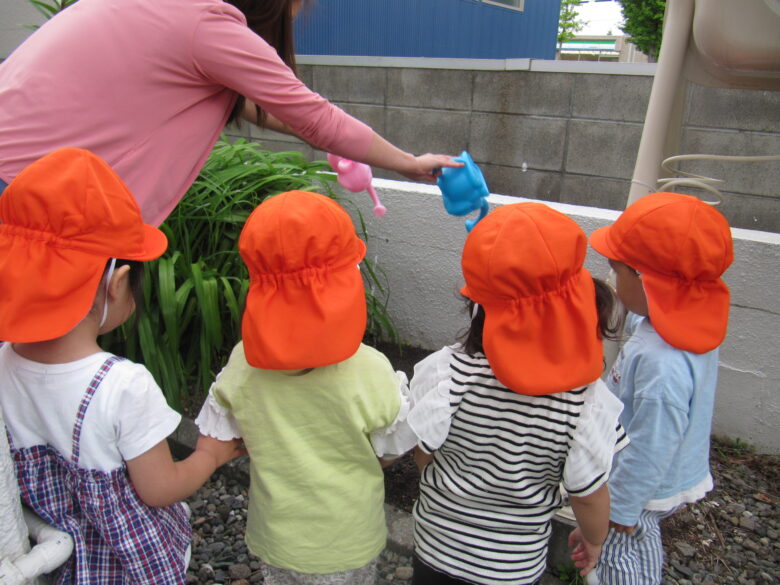 屯田園 🌱2歳児 くるみ菜園情報3🌱