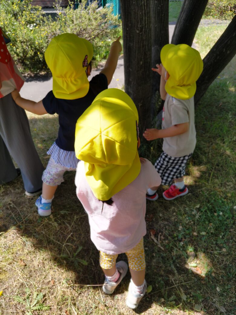 新川園 2歳児 戸外活動