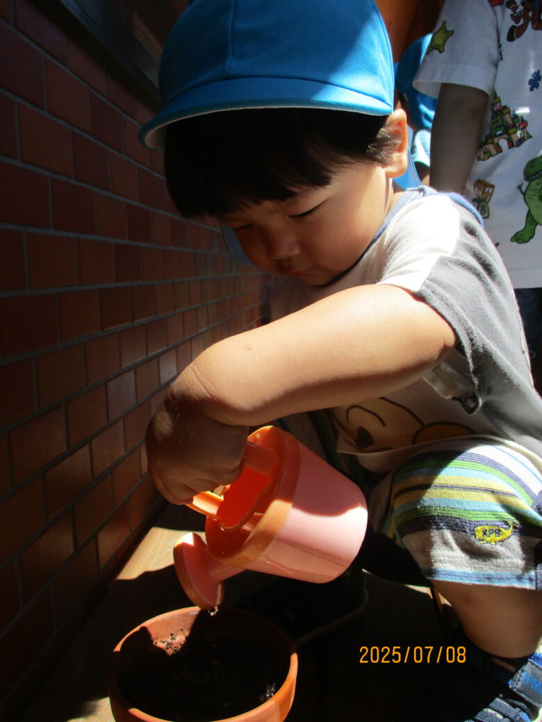 白石園　くるみ組　芽が出たよ🌱