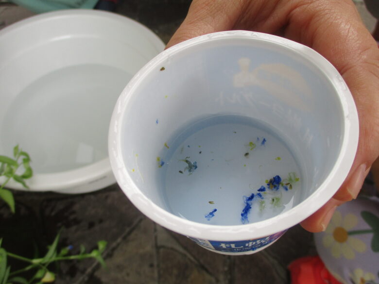 藤野園　お花で色水遊び🌸