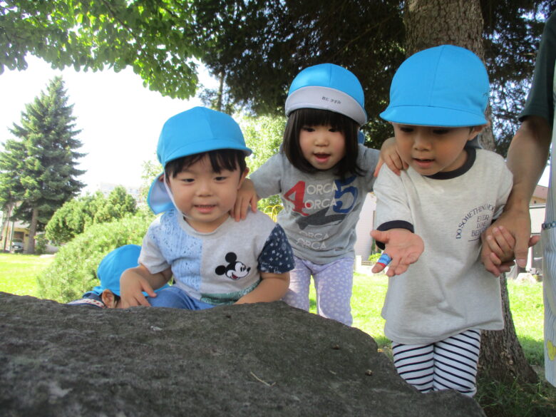 白石園　くるみ組　公園🌞