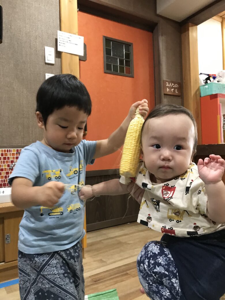 白石園　くるみ組＆どんぐり組　とうもろこしの皮むき🌽