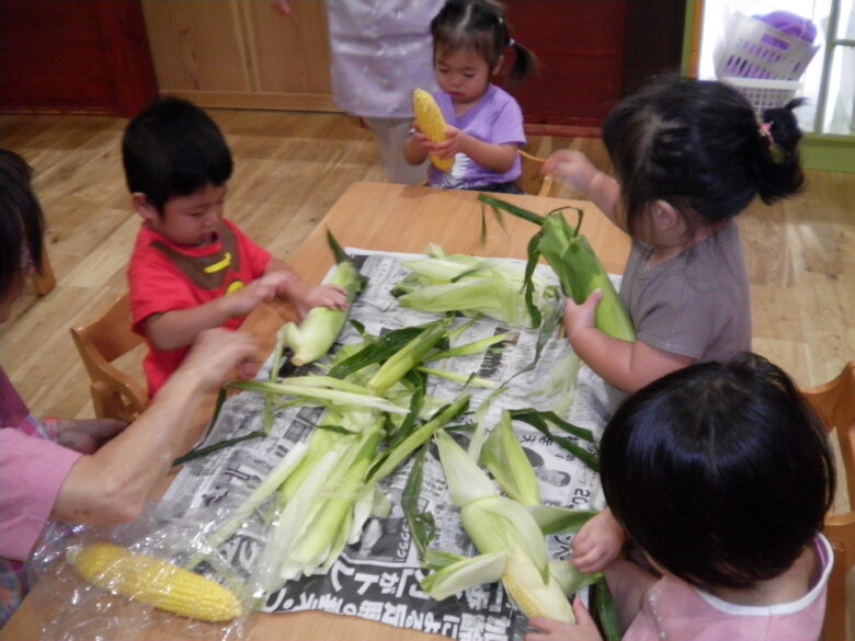 南の沢保育園 くり組もとうもろこしの皮むきに挑戦!