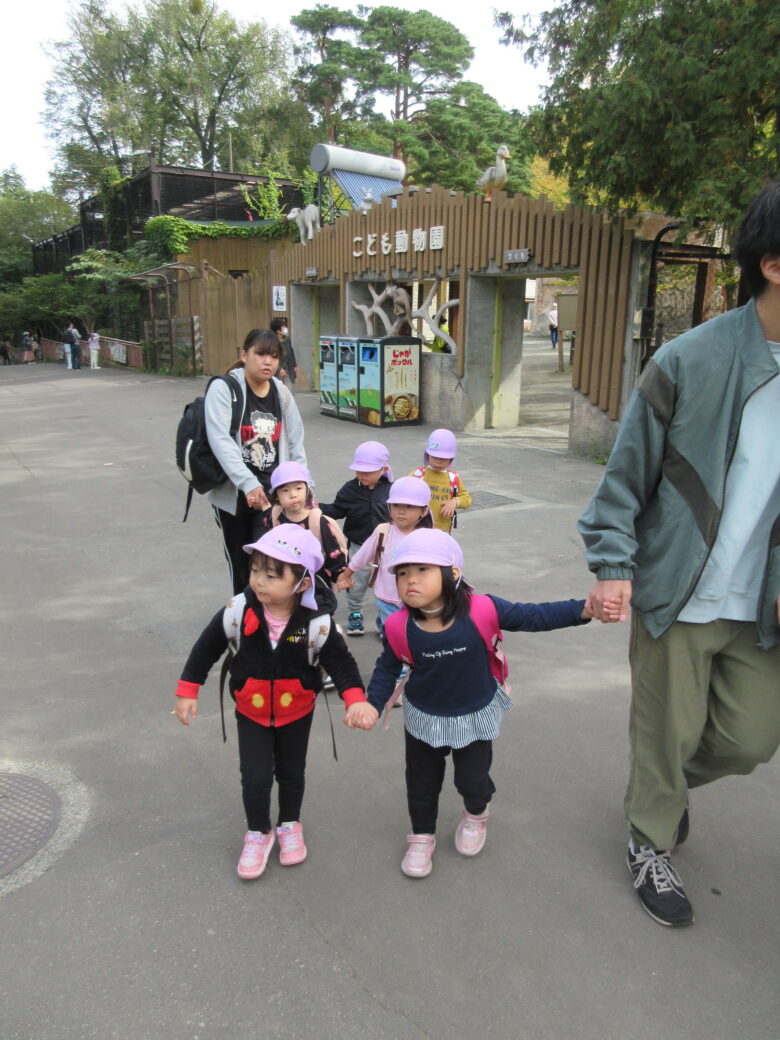 南の沢保育園 円山動物園🐘🐯🐵