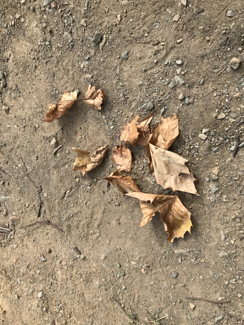 くり組　白石園