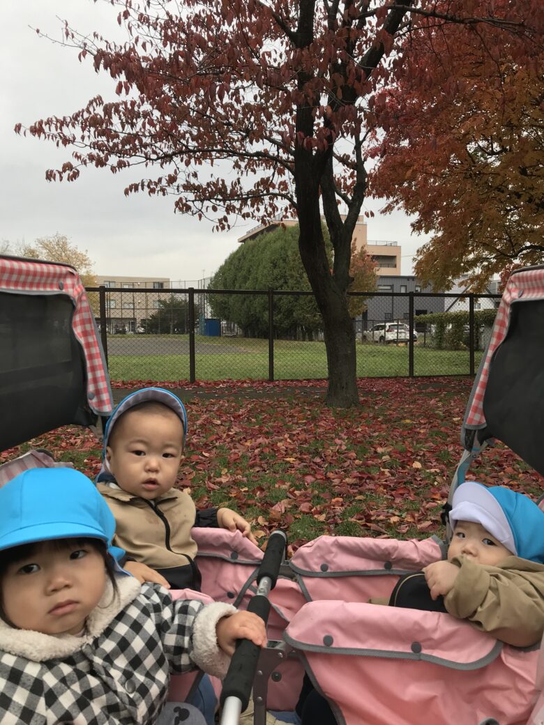 白石園 どんぐり組お散歩🍁