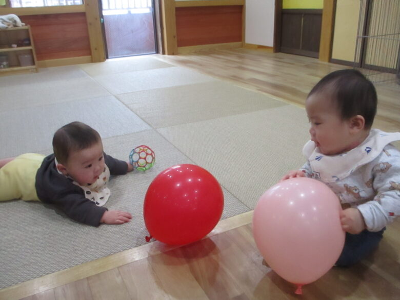 白石園　どんぐり組の日常💞