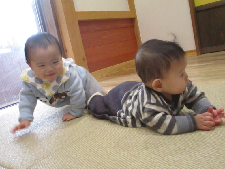 白石園　どんぐり組の日常✨