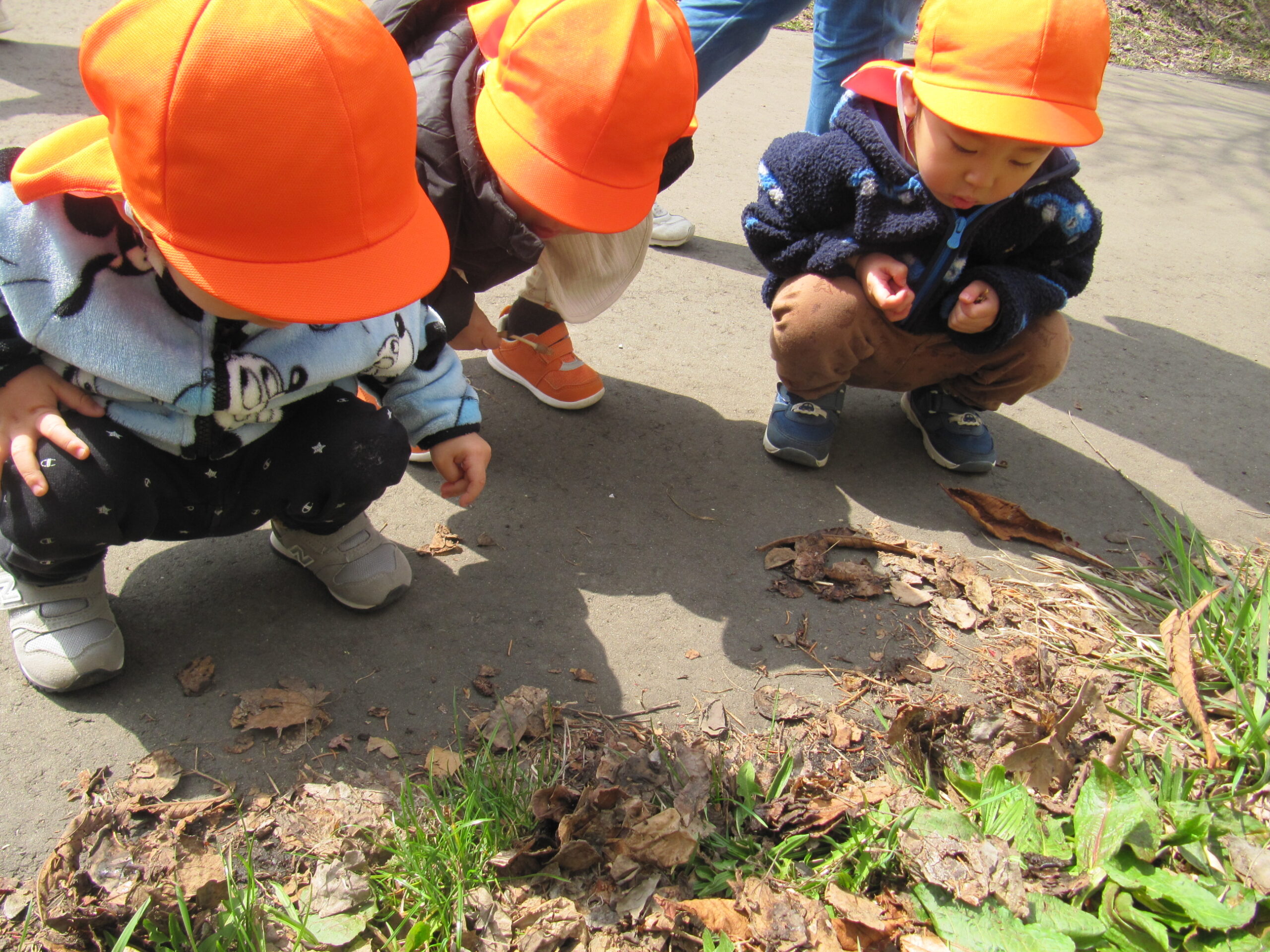 屯田園　お散歩のようす