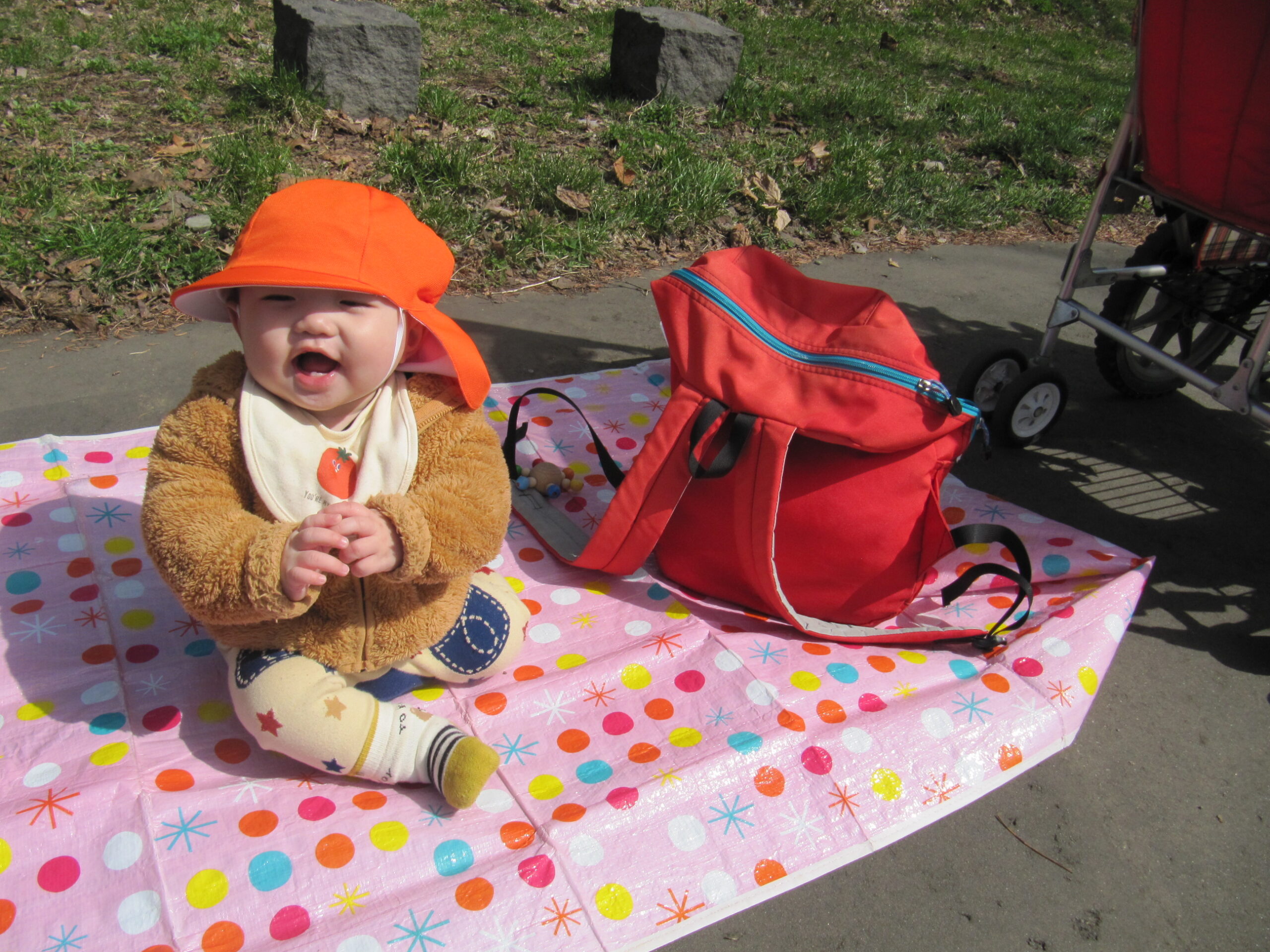 屯田園　　どんぐり組