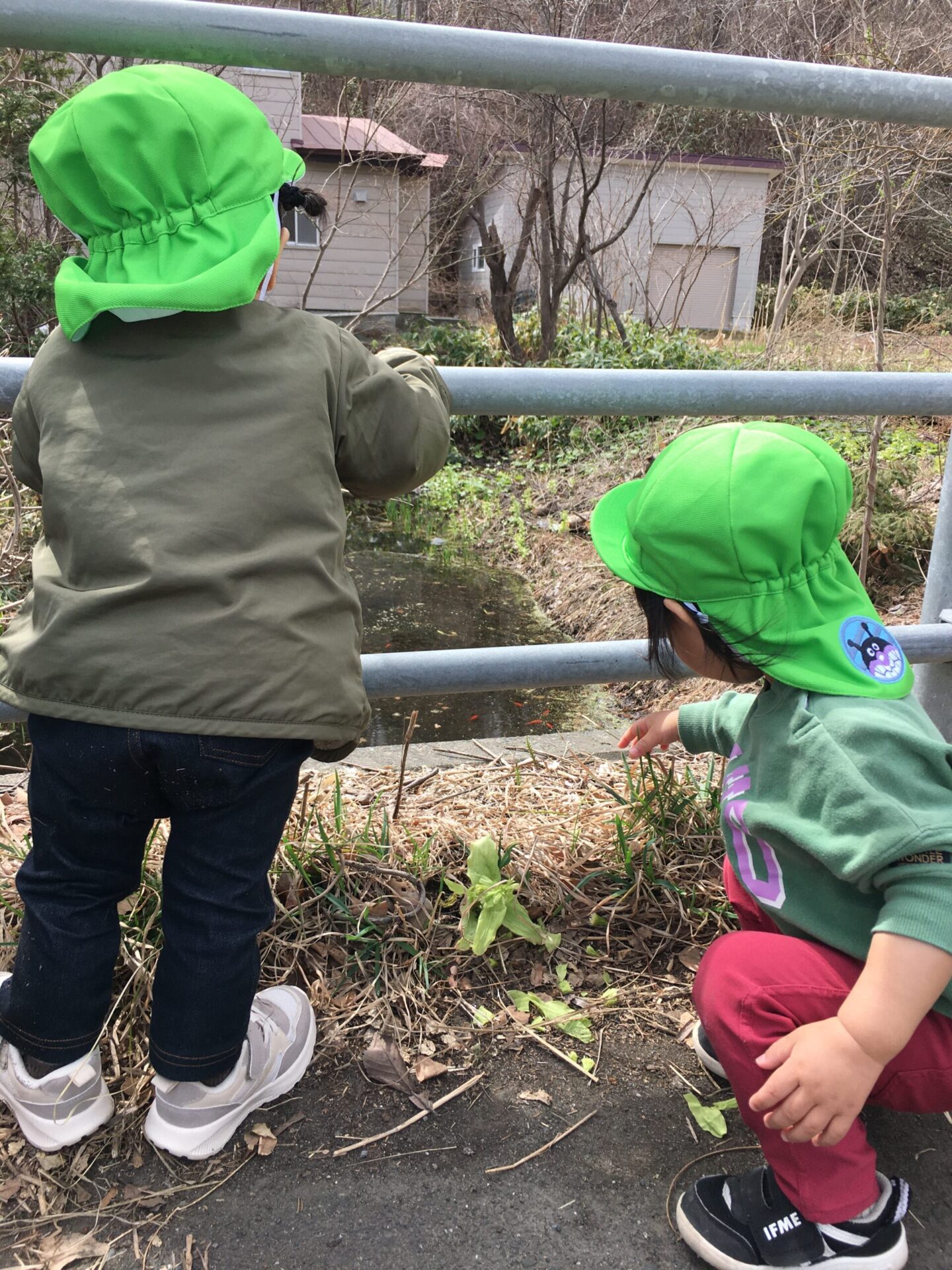 ☆藤野園　0，1歳児クラス　お散歩☆