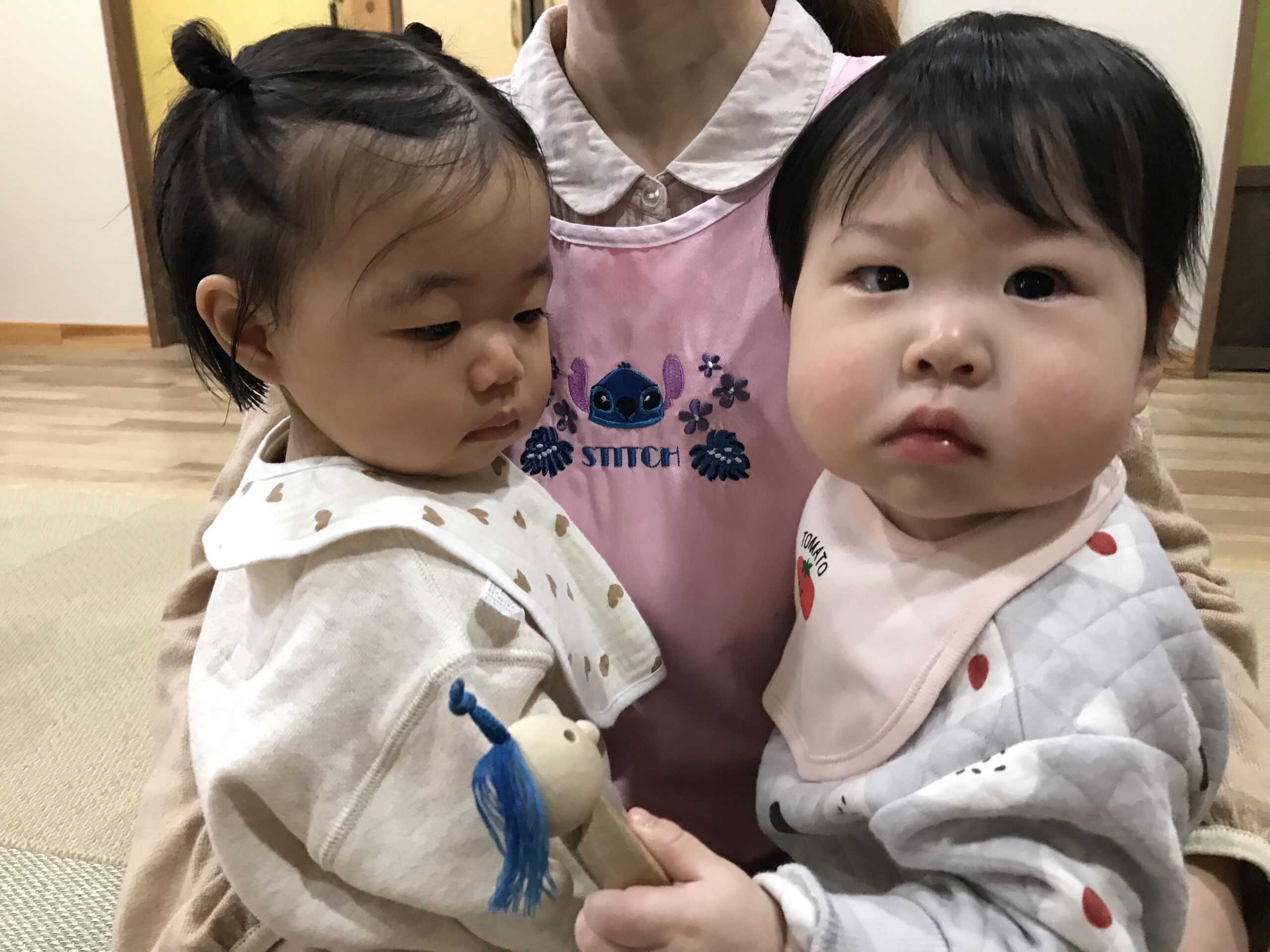 白石園　新しいお友達✨