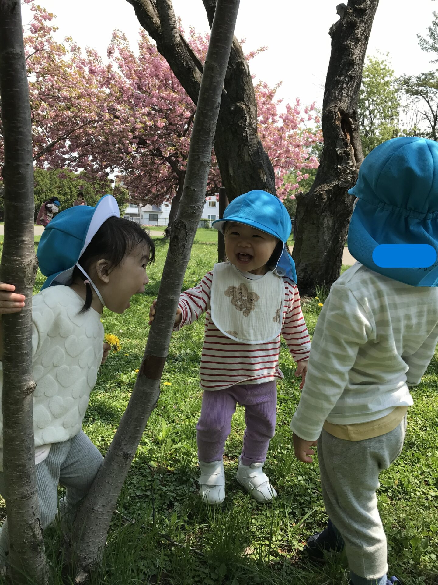 白石園　お散歩☀️