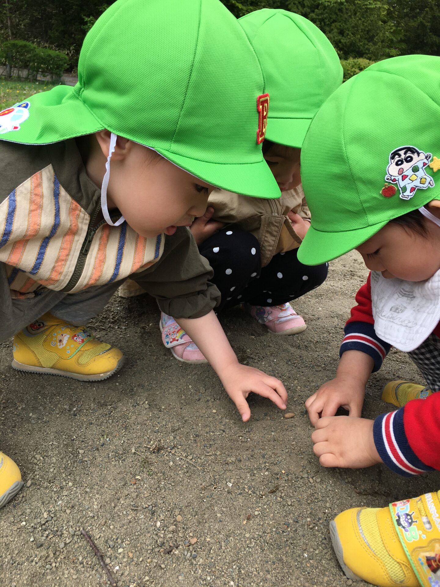 藤野園　くるみ組はなぞの公園に行ってきたよ♪　