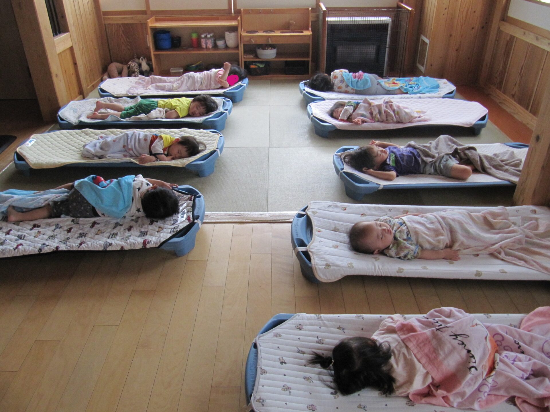 屯田園　ぐっすりお昼寝💤