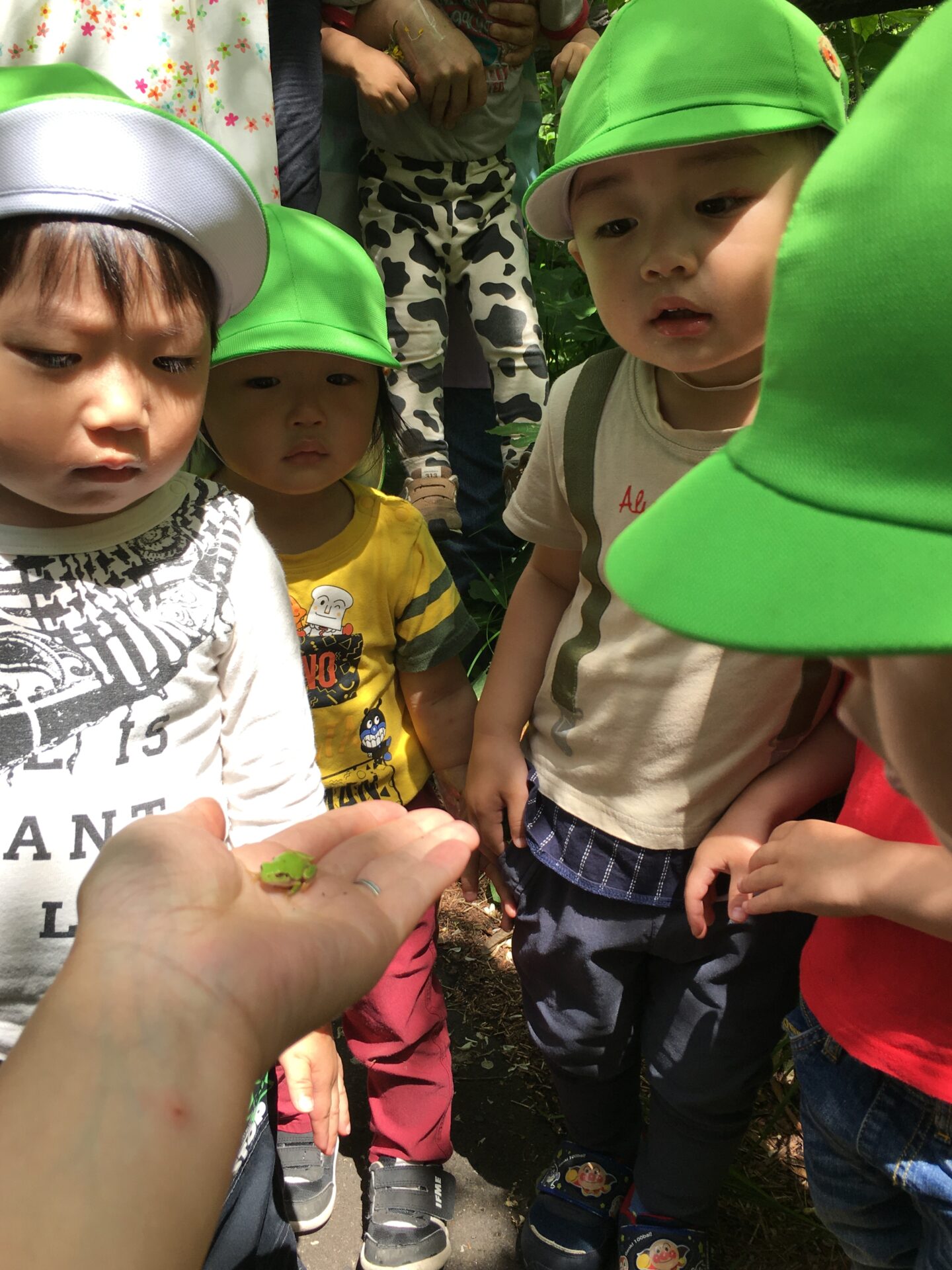 藤野園　遊歩道を散策してきたよ🎵
