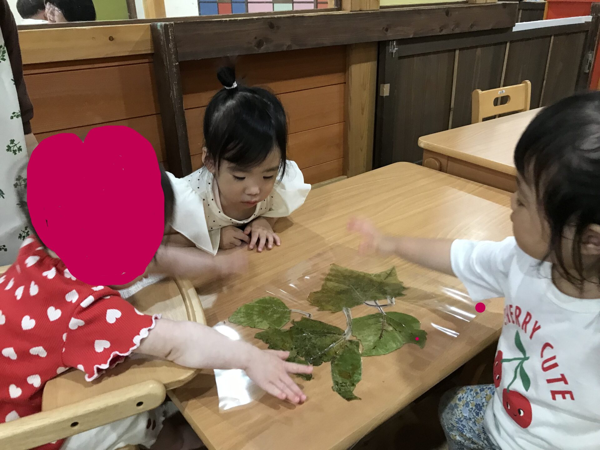 白石園　くり組葉っぱの観察👀