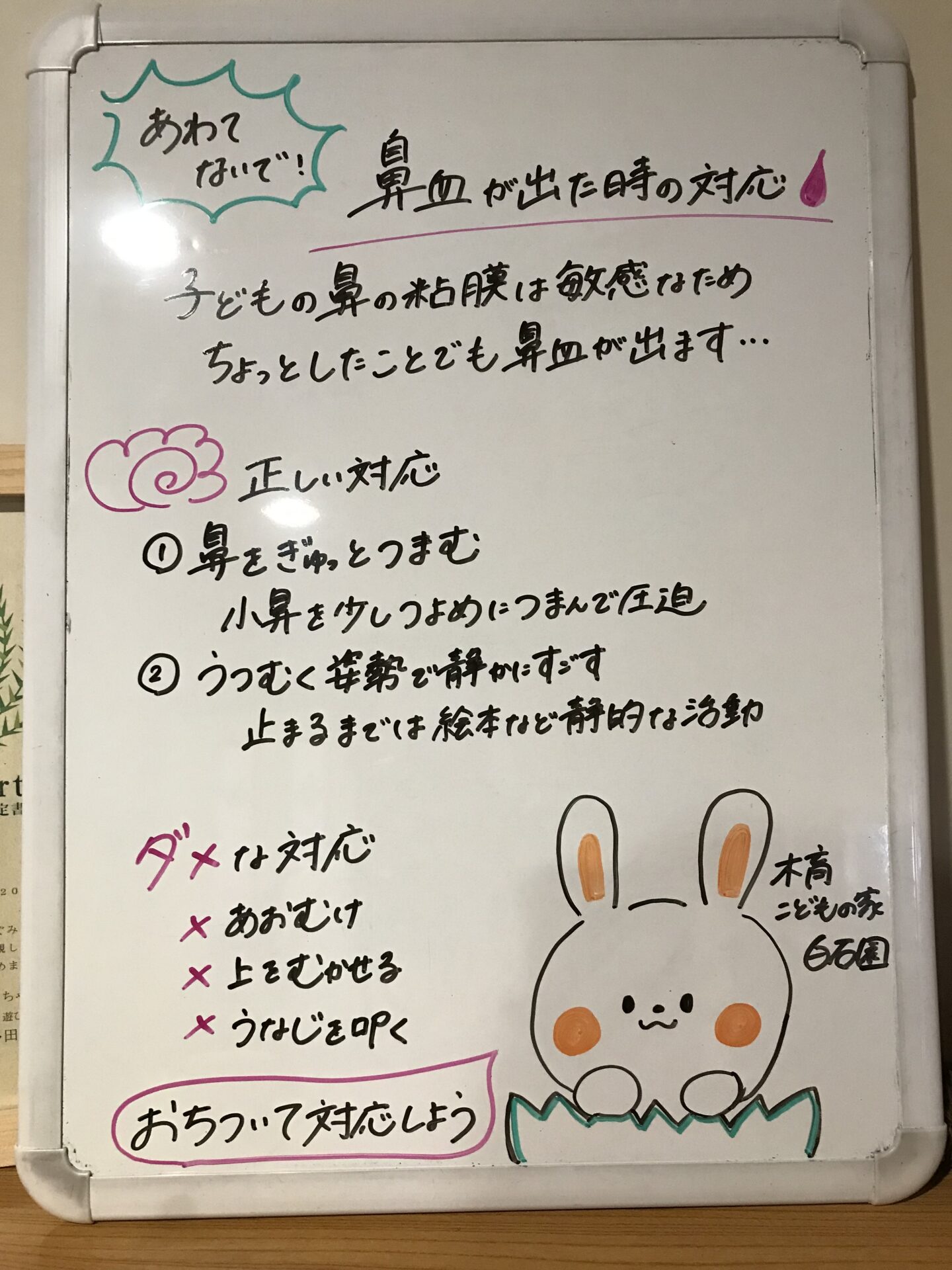 白石園　鼻血について👃🏻