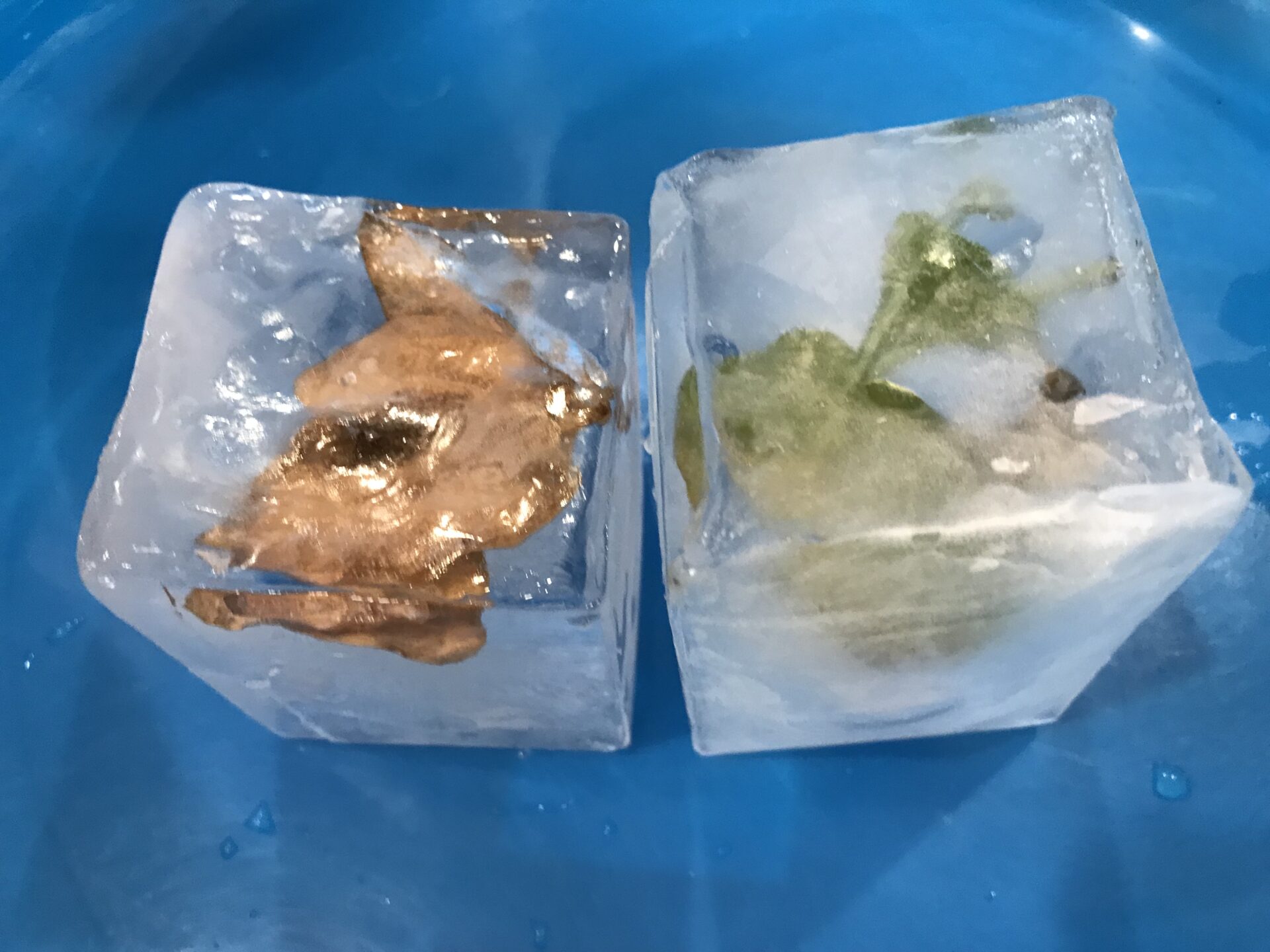 白石園　どんぐり組　氷あそび🧊
