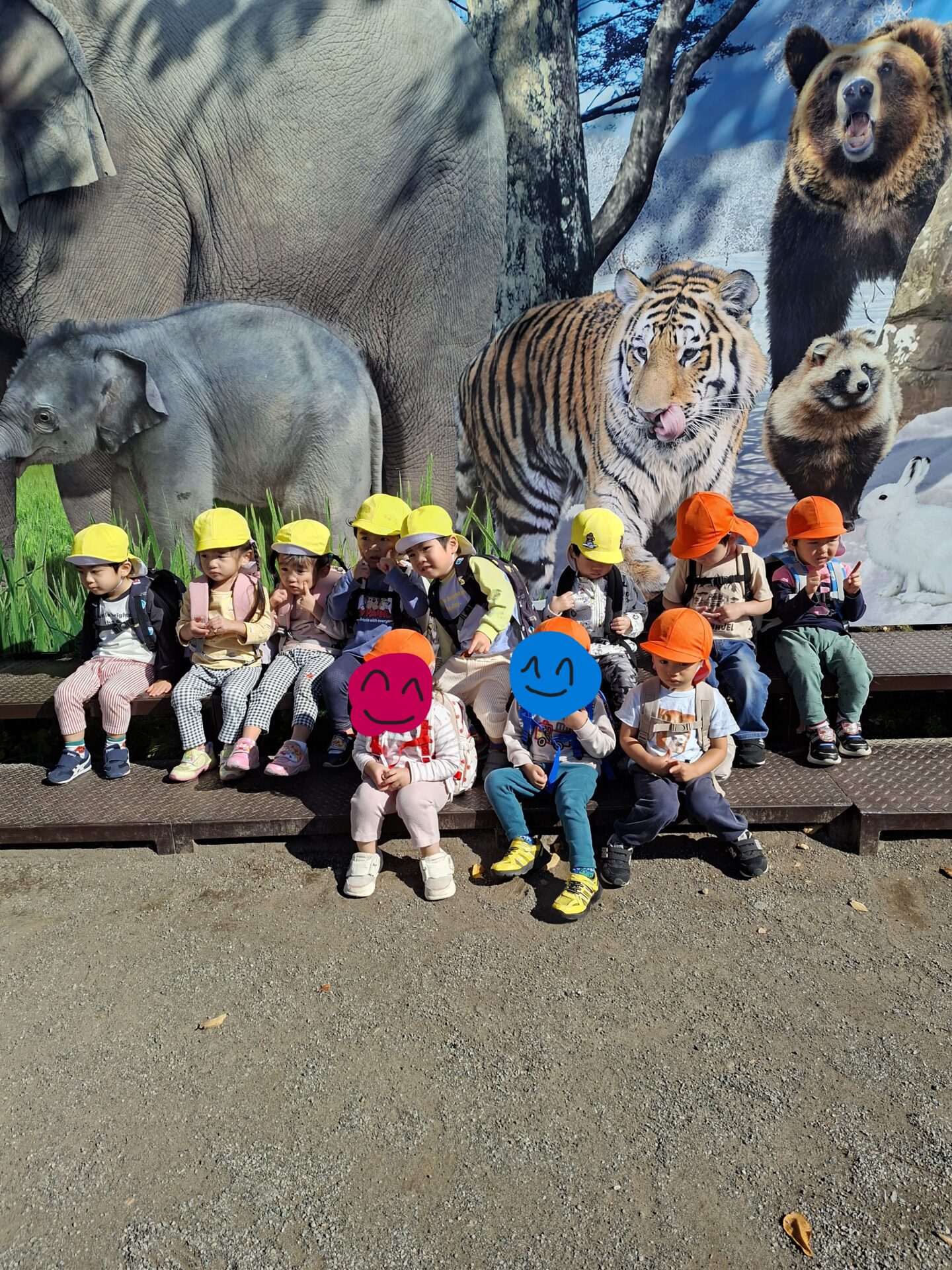 屯田園　くるみ組　円山動物園遠足🐘