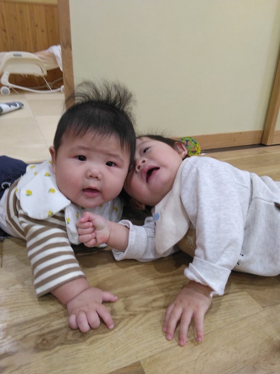 今日のどんぐり組さん